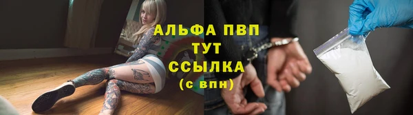 амф Верея