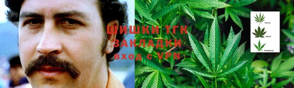 PSILOCYBIN Бугульма