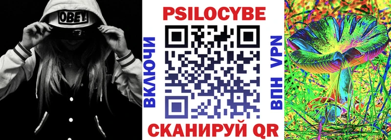 Псилоцибиновые грибы Psilocybe  магазин  наркотиков  Кадников 